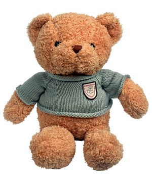 Gấu bông - Teddy cá tính